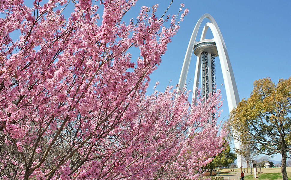 桜が美しい138タワーパーク