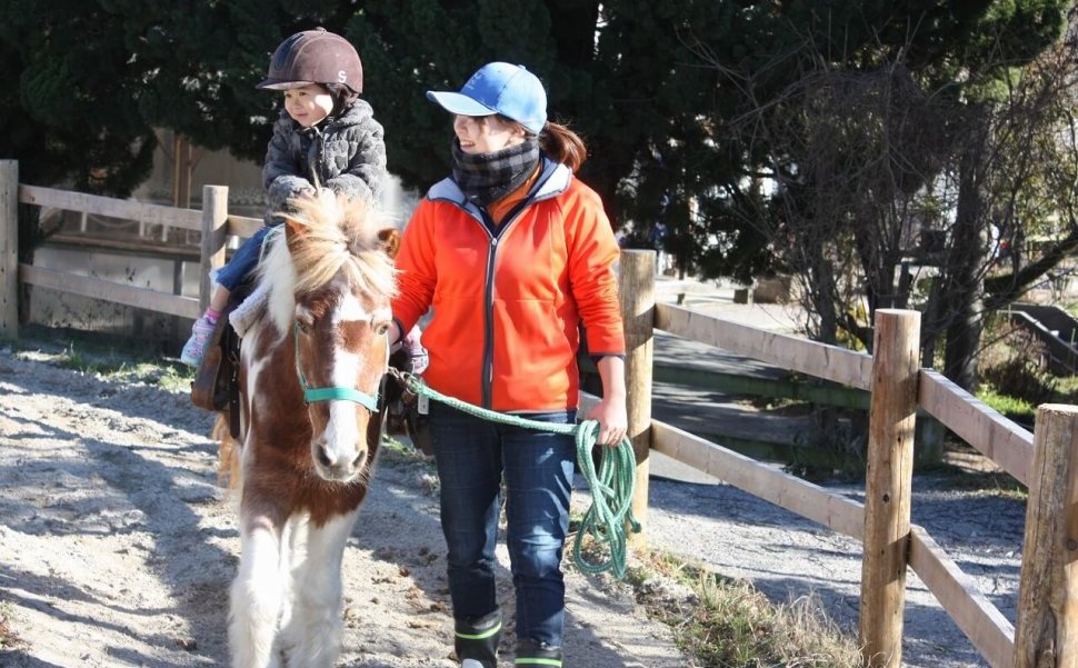 愛知牧場で乗馬や引き馬体験