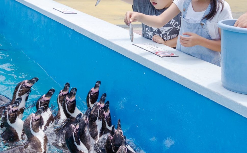 家族のおでかけに人気の愛知県の水族館