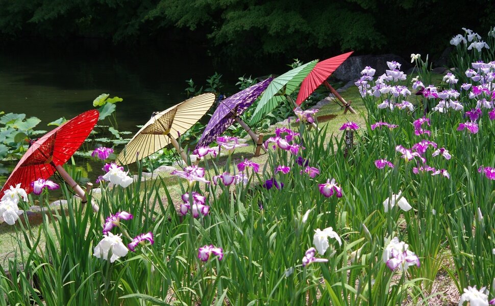 名古屋市の徳川園の和傘イベント