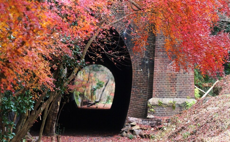 秋に特別公開される愛岐トンネル群