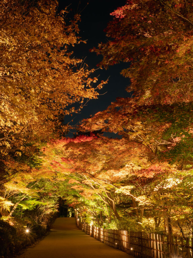 レジャースポット東山動植物園の紅葉