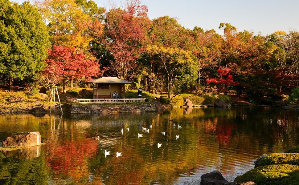 名古屋市屈指の紅葉スポット白鳥庭園