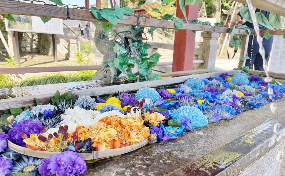 愛知県尾張 津島神社の花手水