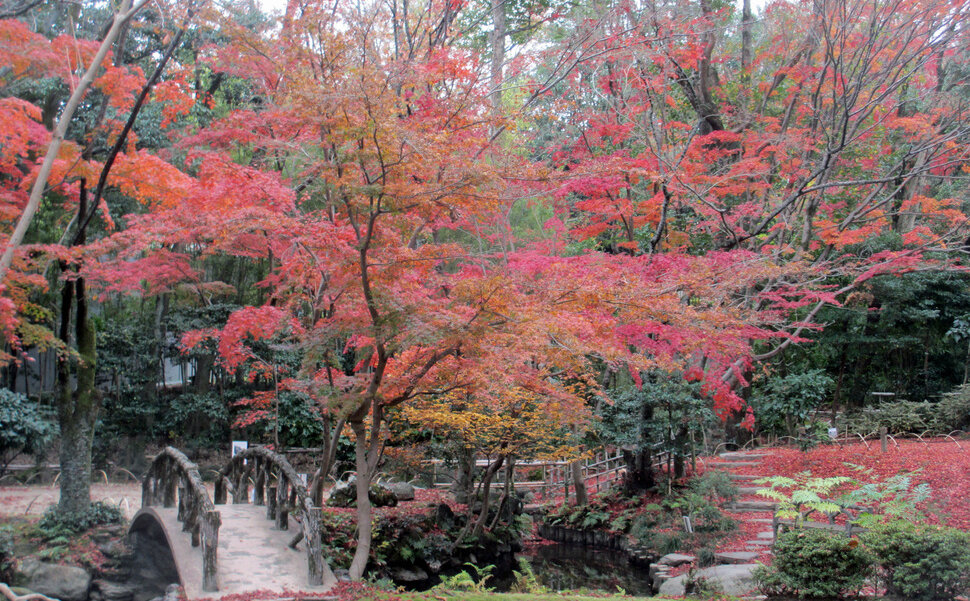 名古屋の歴史的名所揚輝荘の紅葉