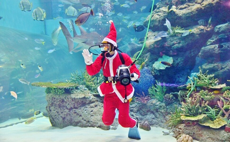名古屋港水族館クリスマスアクアリウムイベント
