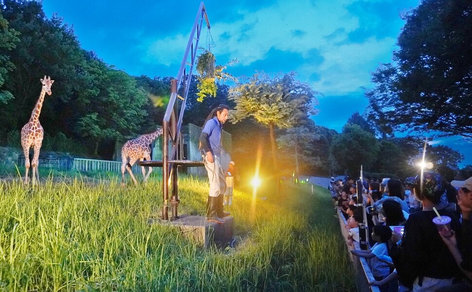 名古屋イベント東山動植物園ナイトズー＆ガーデン