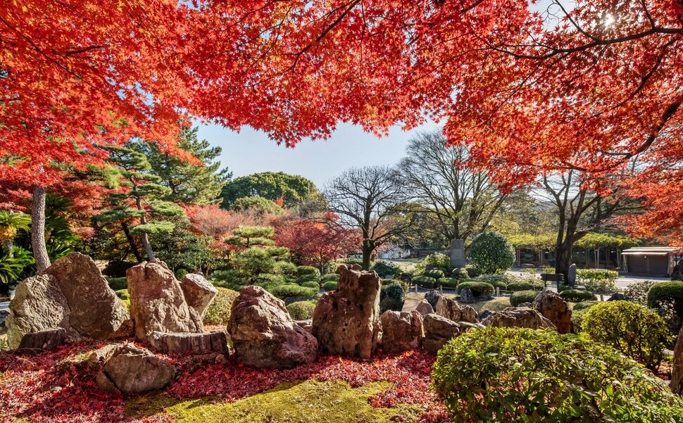 名古屋城の紅葉