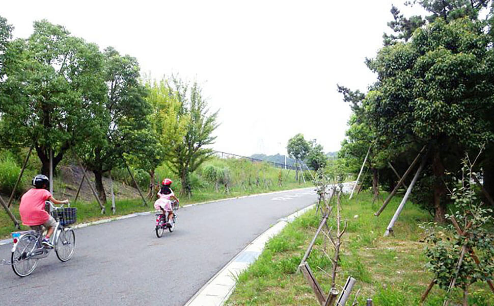 レンタル自転車があるサイクリングコース